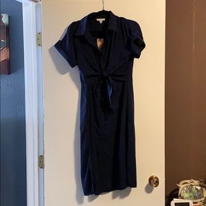 Brand new button down dress